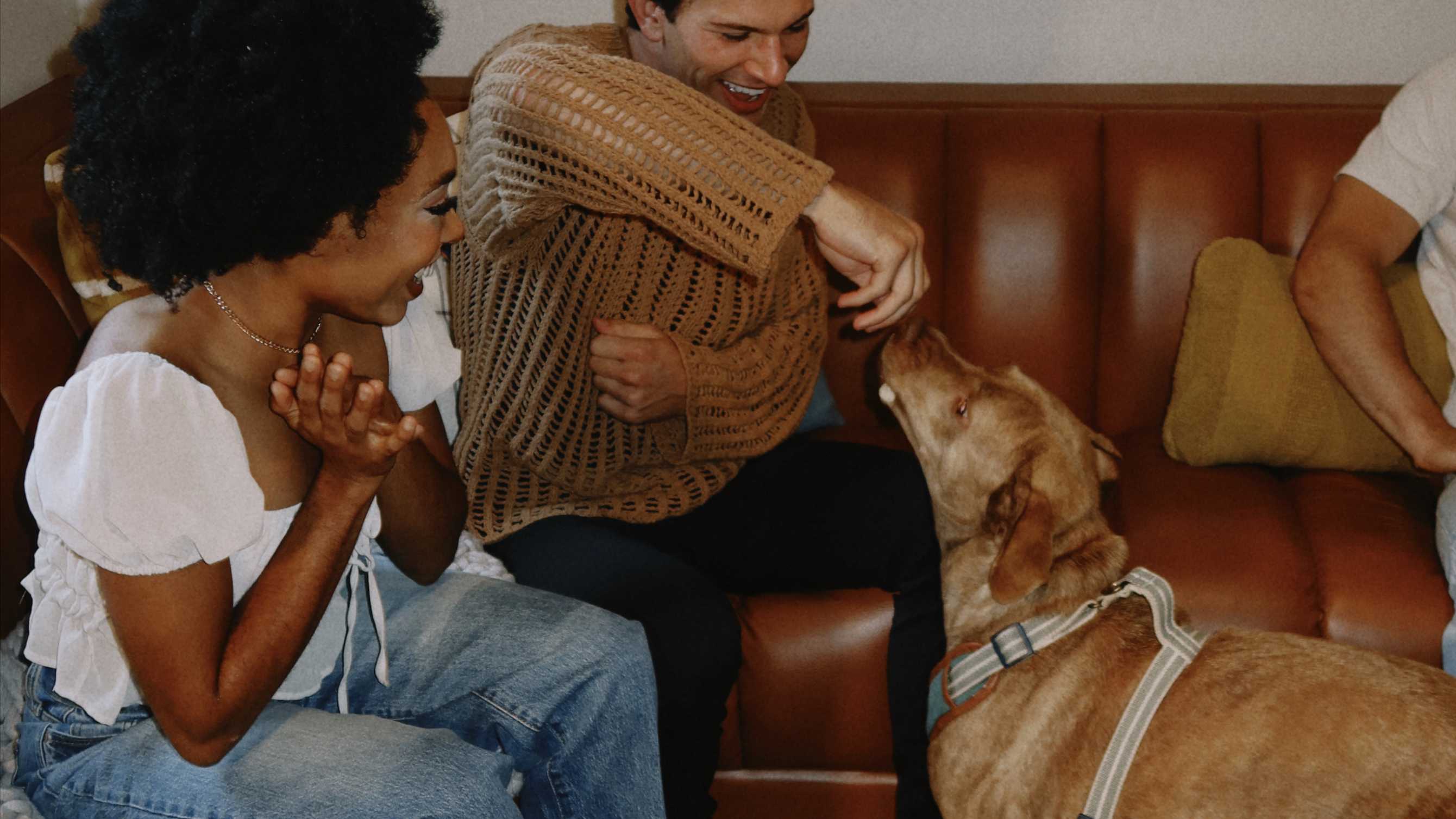 Friends playing with a dog